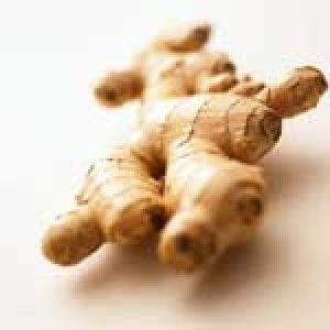 Ginger Oil