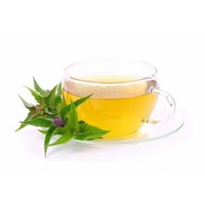 Hyssop Oil Age Group: All Age Group