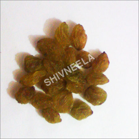 Indian Raisin