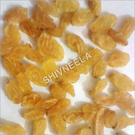 Golden Dry Raisins