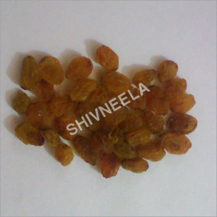Dry Raisins
