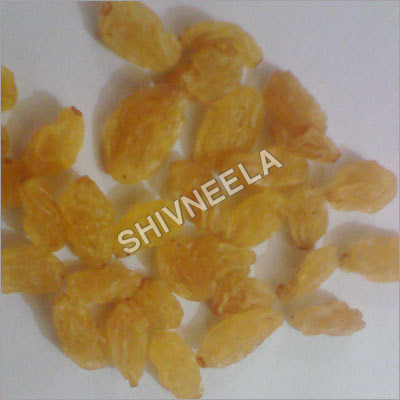 Dried Golden Raisins