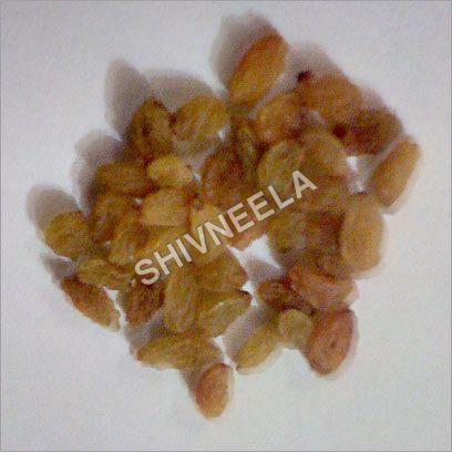 Dried Raisins