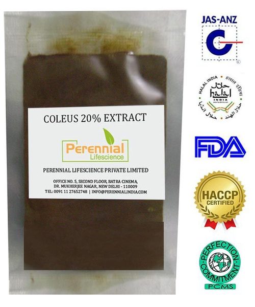 Coleus Extract 40%