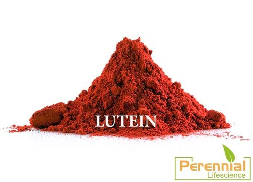 Lutein 40% Oleoresin & 20% Powder