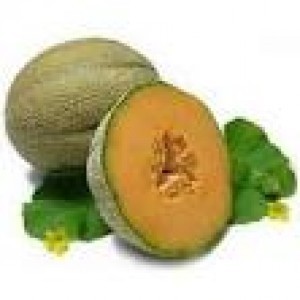 Musk Melon Oil Age Group: All Age Group
