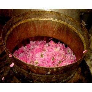 Rose Water Grade C