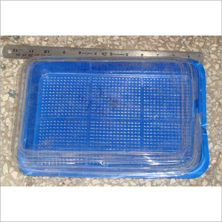 Disposable Meal Trays