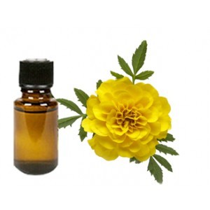 Tagetes Oil Age Group: All Age Group