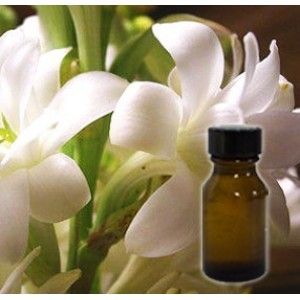 Tuberose Absolute Oil