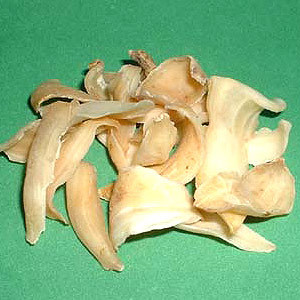 Ginger Lily Absolute Oil