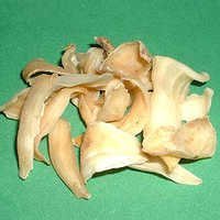 Ginger Lily Absolute Oil