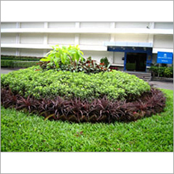 Landscaping Management Services