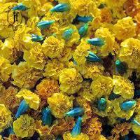 Marigold (Genda) Attar