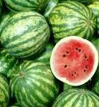 Watermelon Seeds