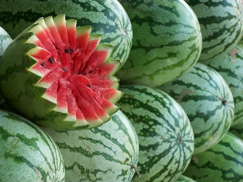 Organic Watermelon Seeds