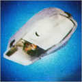 Street Light Fixture
