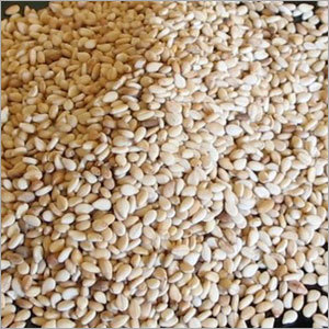 White Sesame Seeds