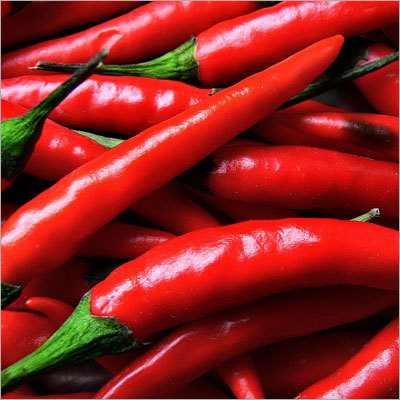 Red Chilli
