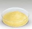 Cloxacillin Sodium Sterile