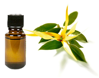 Patchouli Oil