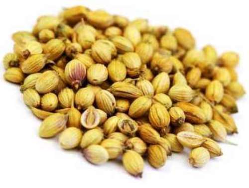 Coriander Seeds