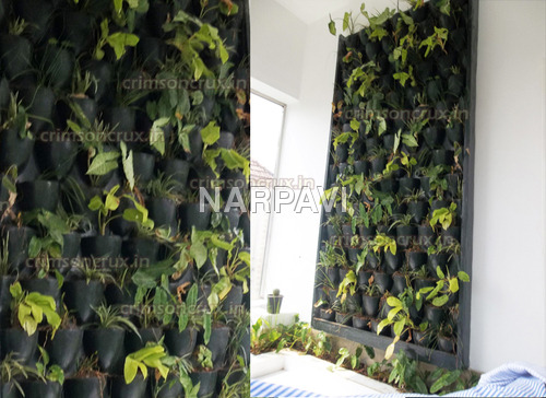 Vertical Garden