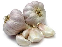 Fresh Garlic - White Bulbous, Firm Texture | Fresh, Flavorful, Natural, Versatile, Healthy, Mesh Bag Packaging