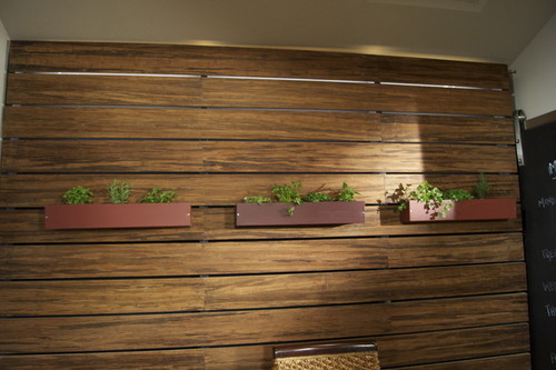 Stall Wall Contemporary Kitchen