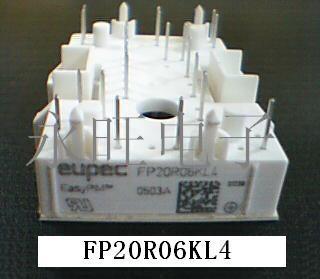 IPM MODULE