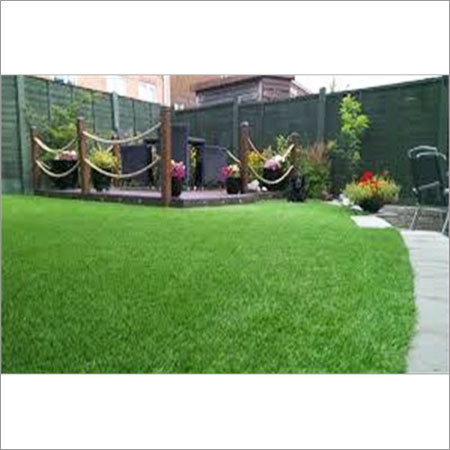 Artificial Lawn
