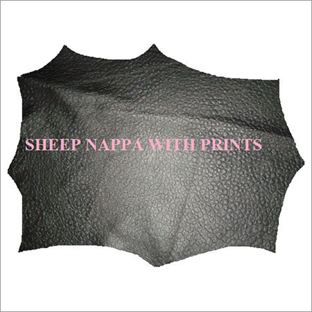 Sheep Nappa Finished Leather