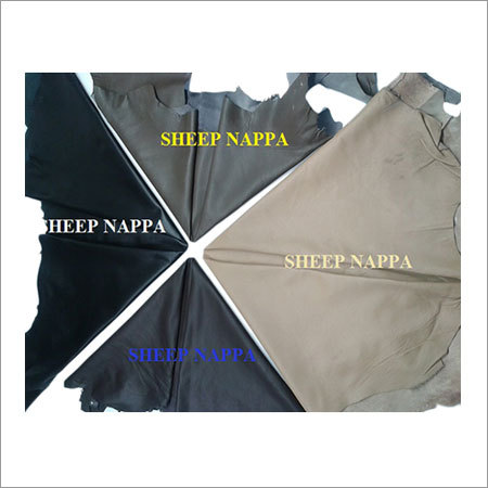 Multi Colored Sheep Nappa Leather