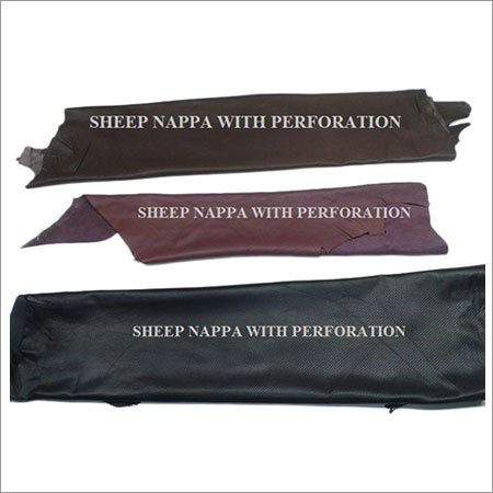 Perforated Sheep Nappa Leather
