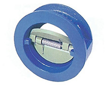 Dual Plate Check Valve