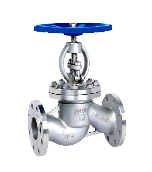 SS Globe Valves