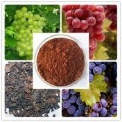 Grape Seed Extract Capsule