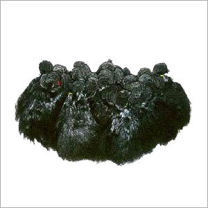 Micro Machine Hair Weft