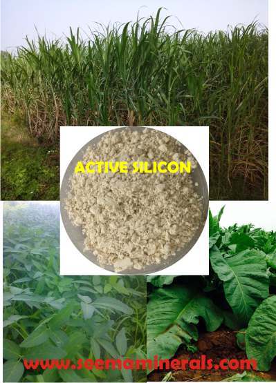 Silicon Organic Soil Conditioner