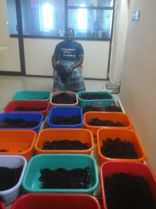 Virgin Human Hair