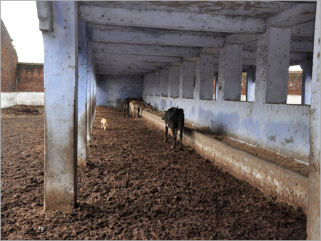 Animal Care Community