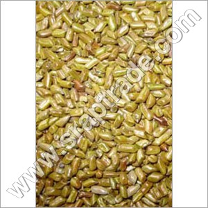 Cassia Semen Torea Seeds