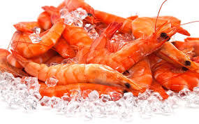 Prawn