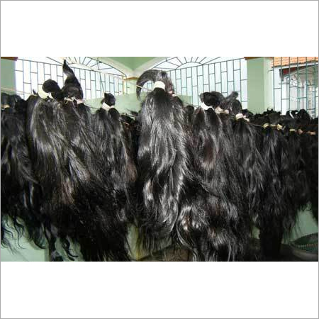 Human Hairs