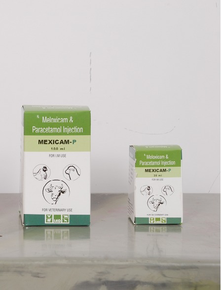 MELOXICAM & PARACETAMOL Injection MELOXICAM & PARACETAMOL Injection