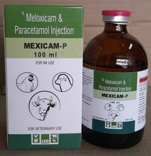MELOXICAM and PARACETAMOL Injection