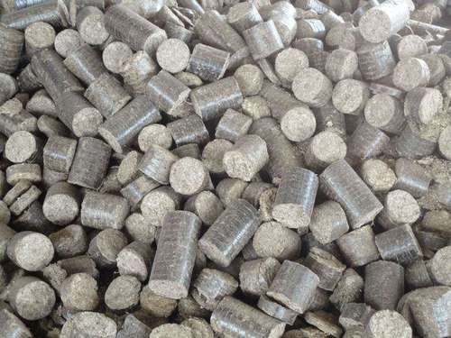 Bio Coal