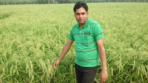 Lajwab Basmati