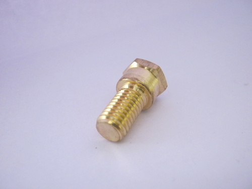 Brass Hexagonal Bolts