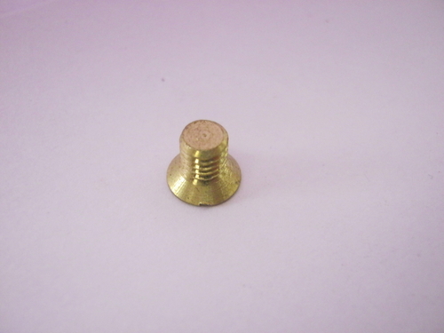 Slotted Brass Screw
